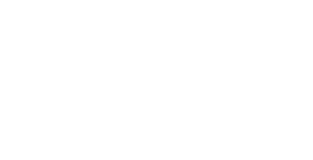 Soidto white logo full